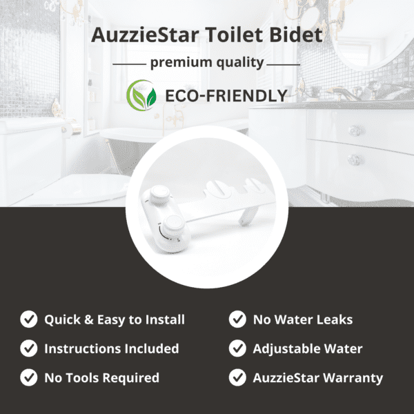 Toilet Bidet Attachment
