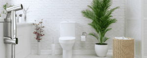 Toilet Bidet Sprayer Set