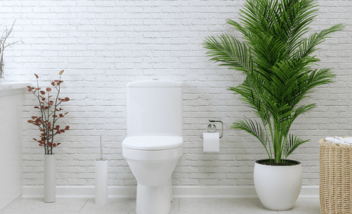 Toilet Bidet Sprayer Set